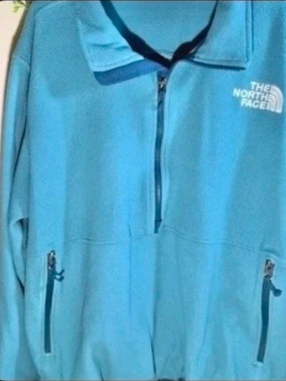 The North Face Blue Quarter-Zip Fleece Pullover